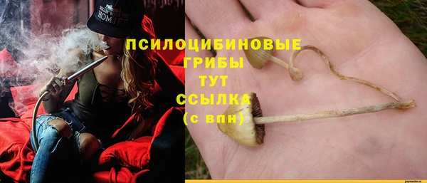 не бодяженный Дмитров