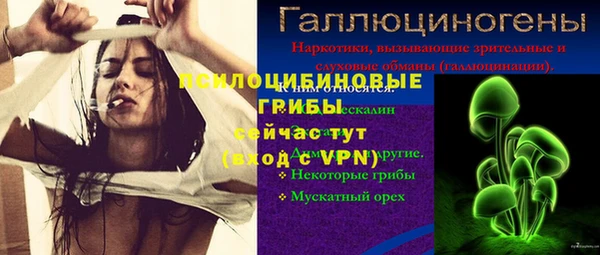 не бодяженный Дмитров