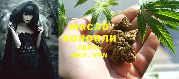соль ск Ветлуга
