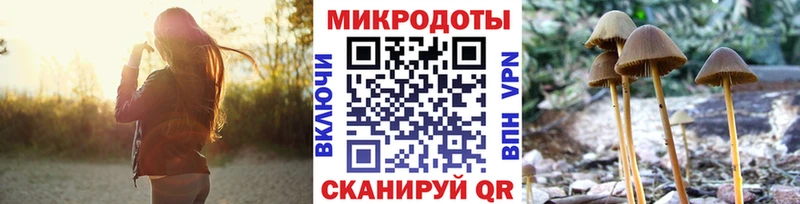 Псилоцибиновые грибы прущие грибы  купить   Ермолино 